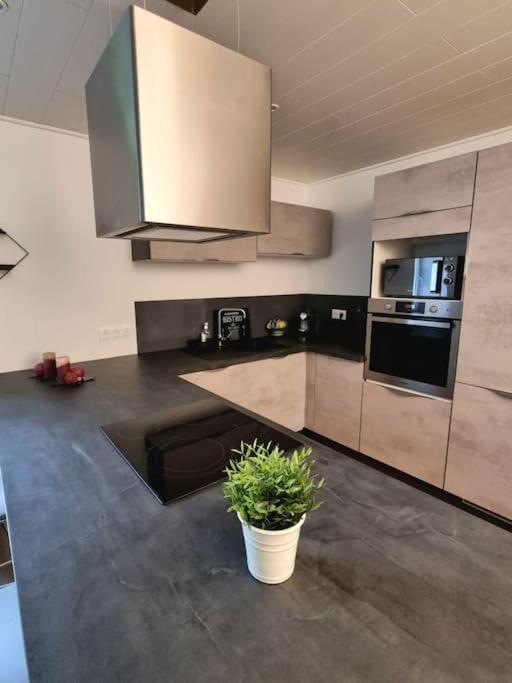 Appartement Chaleureux 80M2 Orbey Extérieur photo